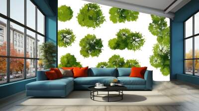 Set of abstract watercolor tree top view for landscape plan and architecture layout  Wall mural