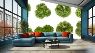 set of tree top view for landscape plan and architecture element Wall mural