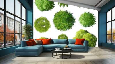 set of tree top view for landscape plan and architecture element

 Wall mural