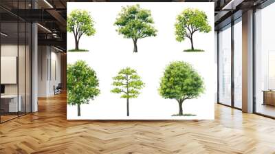 set of watercolor of tree side view isolated on white background for landscape and architecture draw Wall mural