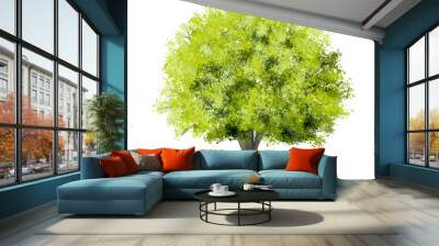 Vector green tree side view isolated on white background for landscape and architecture layout drawing, elements for environment and garden Wall mural