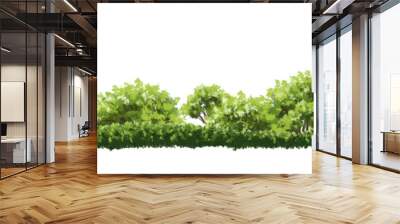 Vector watercolor of tree side view isolated on white background for landscape and architecture drawing, elements for environment and garden, painting botanical for section Wall mural