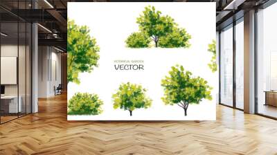 Vector watercolor of tree side view isolated on white background for landscape and architecture drawing, elements for environment and garden, painting botanical for section Wall mural