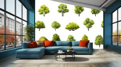 Vector watercolor of tree side view isolated on white background for landscape and architecture drawing, elements for environment and garden, painting botanical for section Wall mural