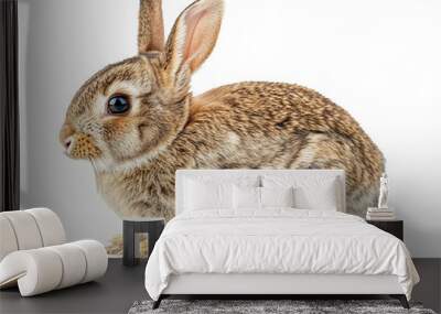 rabbit Wall mural