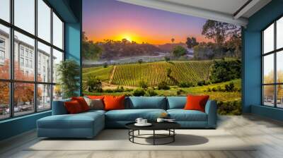 sunset over vinery in Chile for agriculture or vinevard background Wall mural