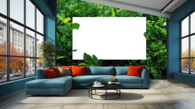 Creative layout made of leaf with white paper card note.  Wall mural