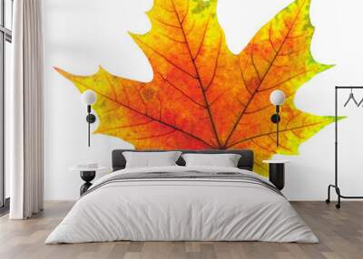 colorful maple tree autumn leaf Wall mural