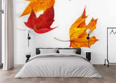 Falling red and orange maple leaves cut out Wall mural