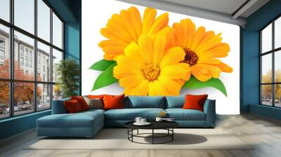 isolated flowers. three orange marigold (calendula) flowers with leaves isolated on white background Wall mural