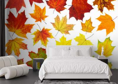 Isolated leaf. Collection of autumn maple leaves isolated on white background Wall mural