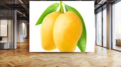 Isolated mango. Two yellow mango fruit hanging on a tree branch isolated on white background with clipping path Wall mural