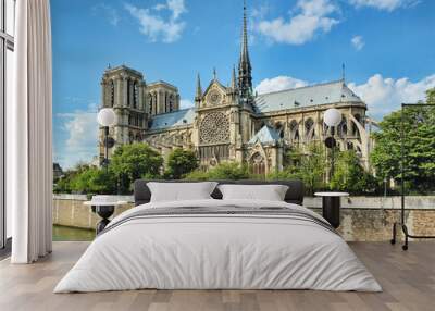 Notre-Dame side view, Paris, France Wall mural