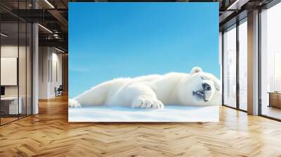 Polar bear resting on snow under clear blue sky Wall mural