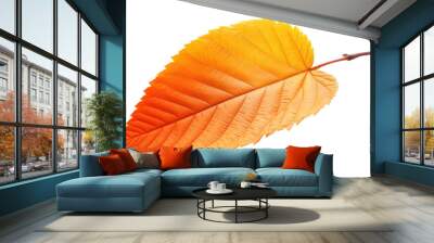 Red and orange autumn leaf cut out Wall mural