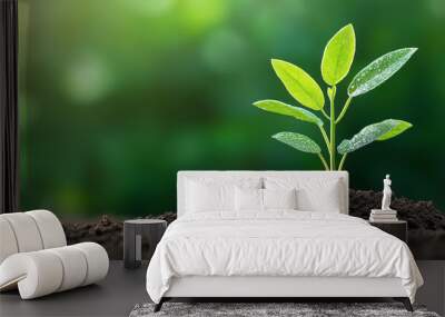 Single green seedling growing in fertile soil with blurred green background Wall mural