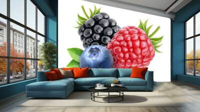 Three berries (blueberry, raspberry, blackberry) cut out Wall mural