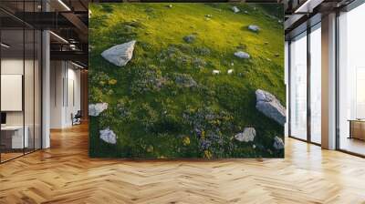 A lush green meadow adorned with wildflowers and scattered rocks under bright daylight, portraying a serene and untouched natural environment thats worth exploring. Wall mural