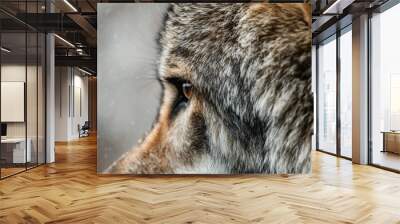 This side view image of an animal's face focuses on the eye, displaying the fur's texture and color variations. It conveys a sense of calm and introspection in its wild surroundings. Wall mural