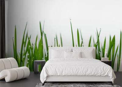 Grass green with dew drops Wall mural