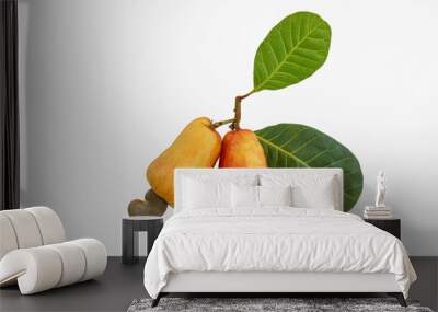 Two Cashews fruit ripe with leaf isolated on a white background. Wall mural