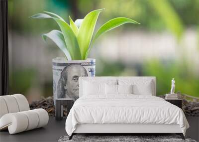 100 dollar bills growing on the soil finance and saving concept. Wall mural