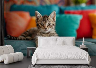 cute kitten in colorful living room Wall mural