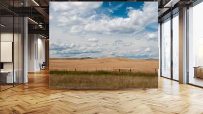 Wide open plains with puffy white clouds and blue sky Wall mural