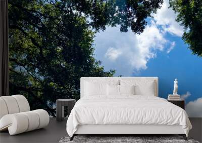 Blue sky and oak tree branches Wall mural