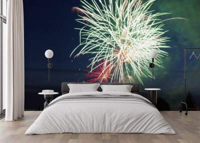 Independence day fireworks Wall mural