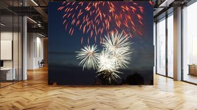 Independence day fireworks Wall mural