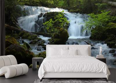 Pearsony Falls, Oregon 2 Wall mural