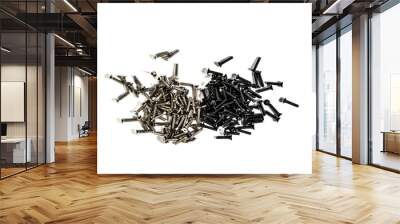 pile of screws isolated on white background Wall mural