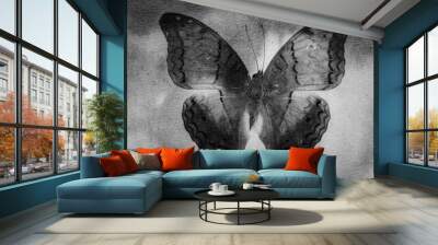 strong black texture butterfly  Wall mural