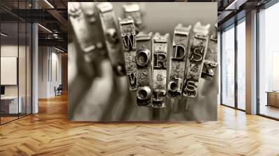 the words words with old typewriter keys macro Wall mural