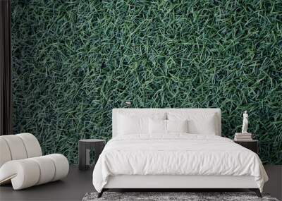 Field of fresh green  lawn grass texture natural background . Wall mural