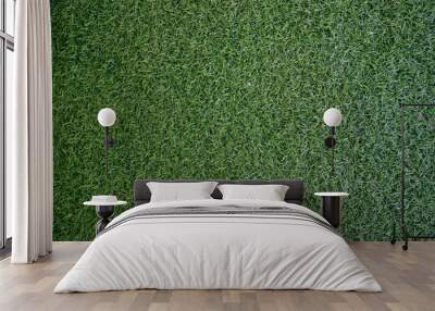 Field of fresh green  lawn grass texture natural background . Wall mural