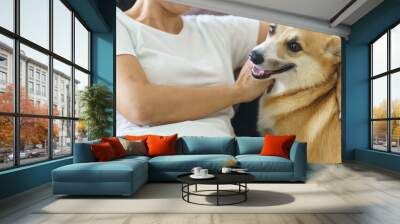 Woman playing with her dog at home lovely corgi on sofa in living room. Wall mural