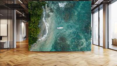 Top view shot of a beautiful island in Costa Rica, USA Wall mural