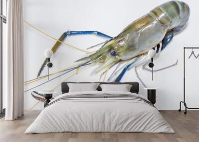 Fresh shimp or fresh king prawn Wall mural