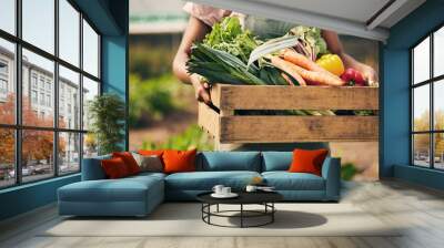 Farmer hands, box and vegetables in greenhouse for agriculture, supply chain business and product in basket. Person, seller or worker in gardening for sustainability NGO, nonprofit and food harvest Wall mural