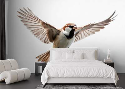 flying bird sparrow isolated on white background Wall mural