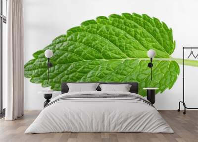 fresh raw mint leaf or melissa leaves isolated on transparent background full depth of field Wall mural