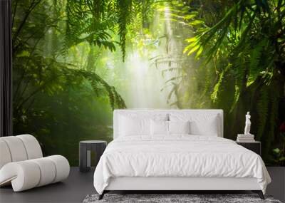 The fog in the rain forest and sun ray. Wall mural