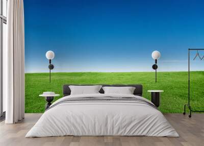 Green Grass Texture with Blang Copyspace Against Blue Sky Wall mural