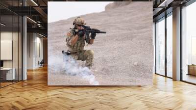 Soldier in camouflage military uniforms ready for battle in afghanistan Wall mural