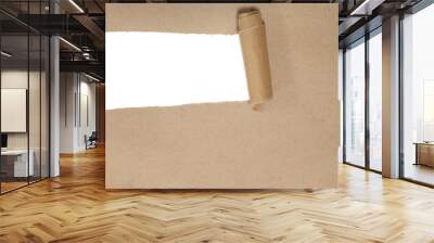 torn brown package rolled up curvl paper with blank white copyspace Wall mural