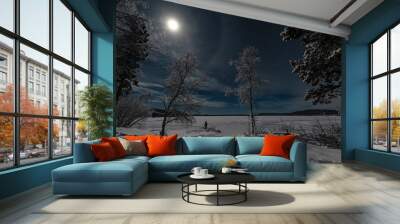 moonlit winter landscape with forest and  person crossing the lake under a blue sky with full cloud covered moon Wall mural