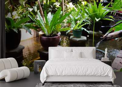 Traditional water garden in a Cambodian home. Water an big leafed plants are used to give cool, shade and movement. Wall mural