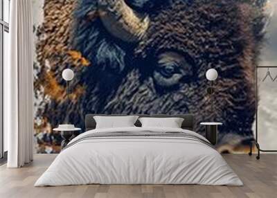 Abstract bison head with clouds and lightning Wall mural